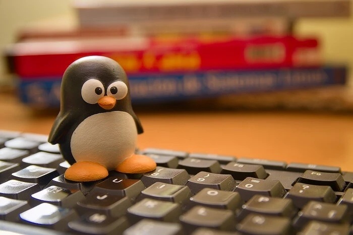Разработчики Linux «Альт» проиграли. Их «Свободный офис» не признан российским