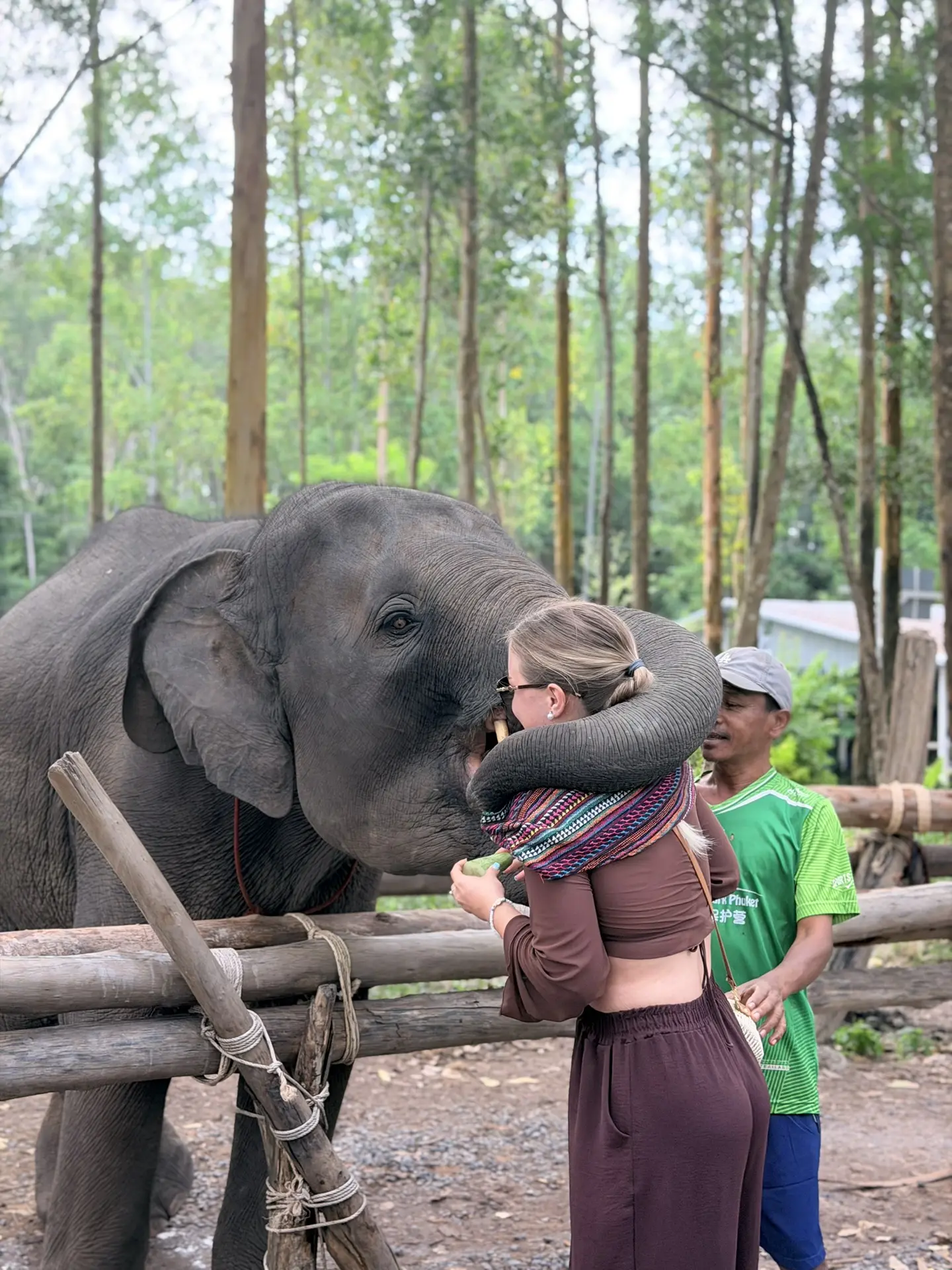 🌿 Сегодня делюсь с вами ещё одной классной находкой на Пхукете! 🐘🤎
