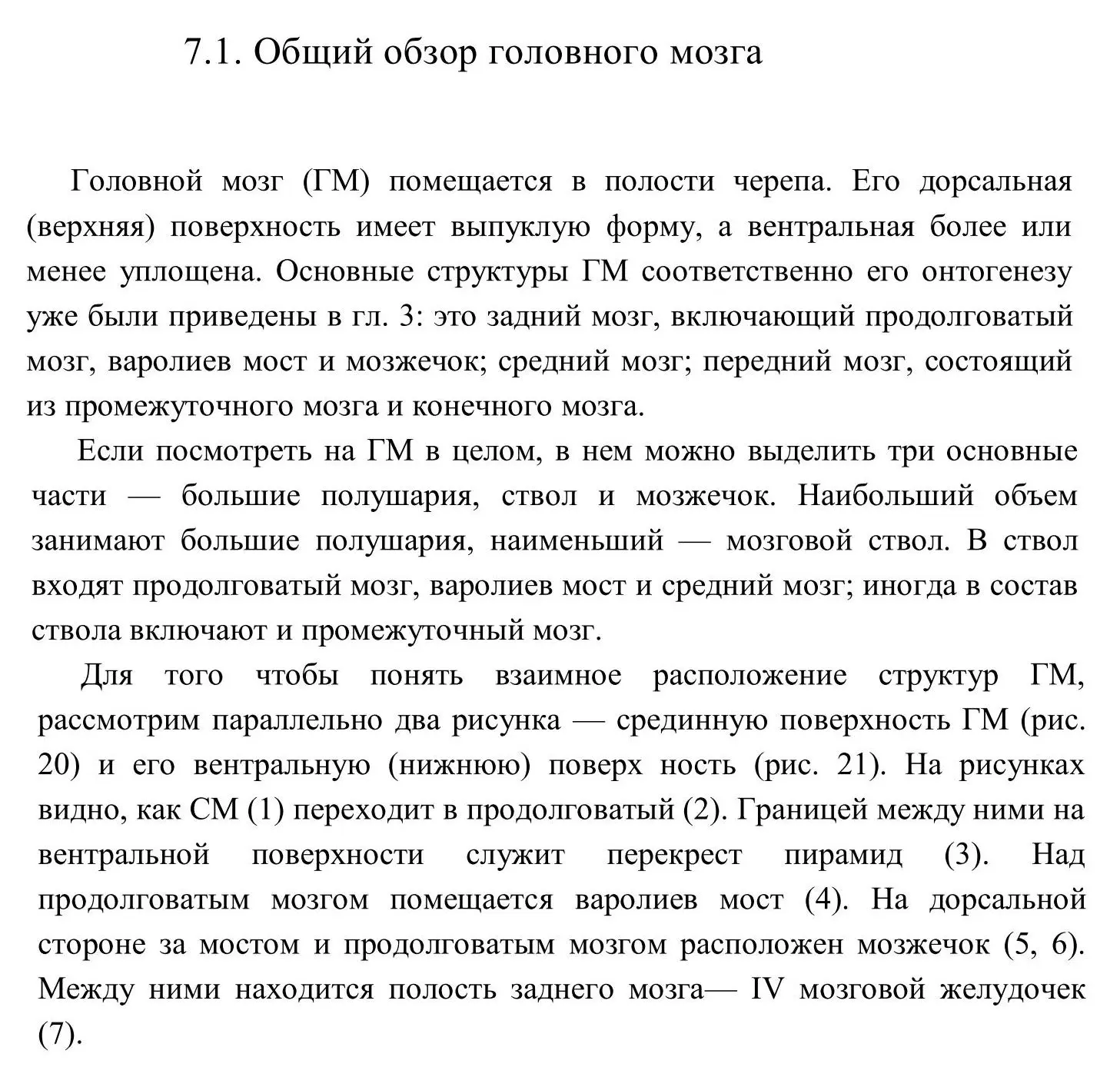 Общее строение головного мозга
