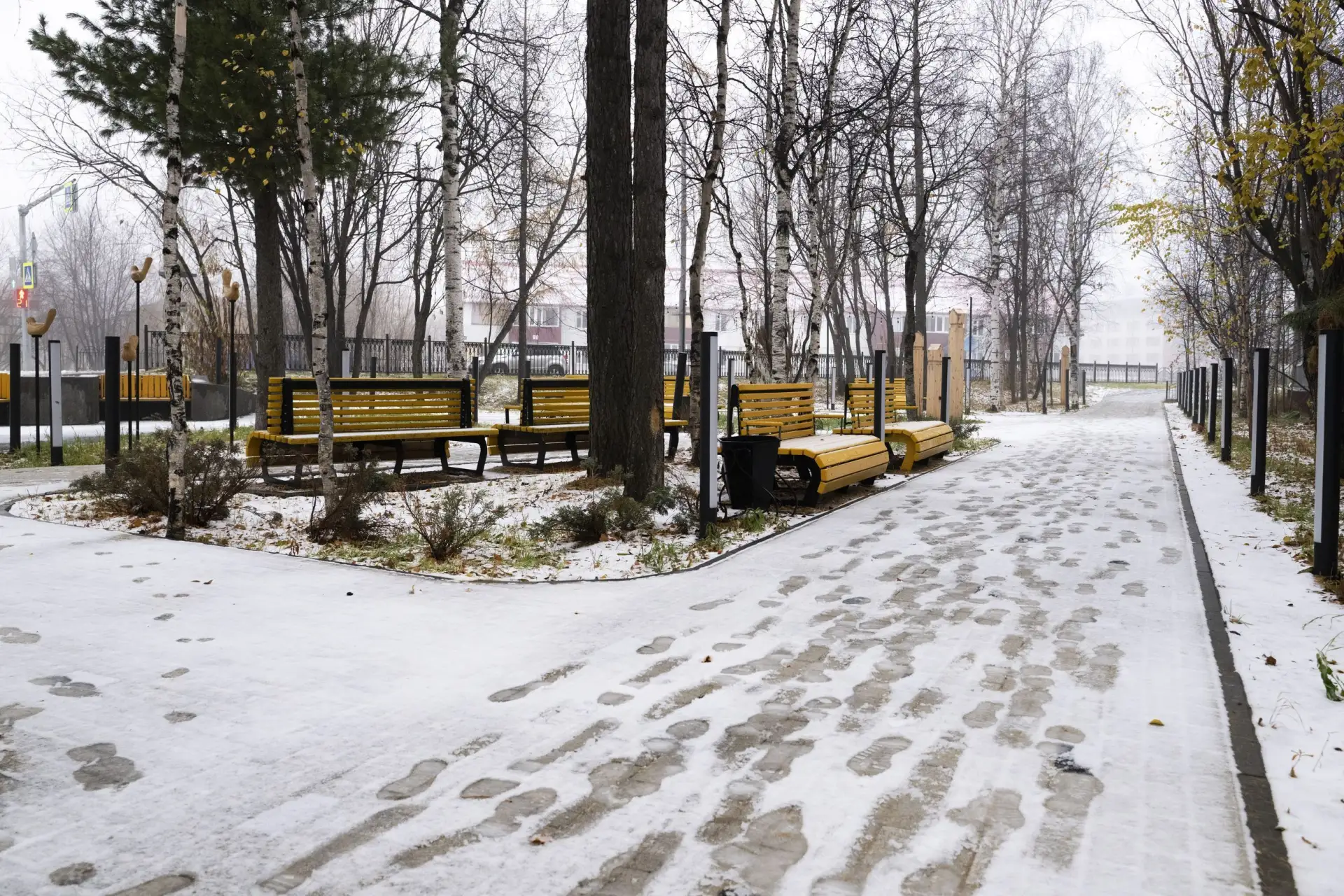 Зима и осень встретились в Тарко-Сале: магия середины октября на Ямале ❄️🍂