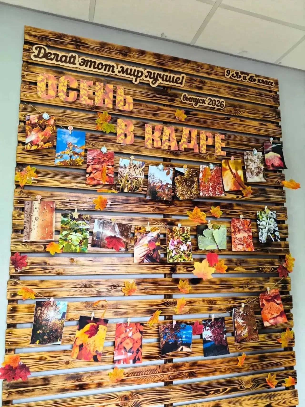 «Осень в кадре»: в «Точке роста» открылась выставка сезонной фотографии