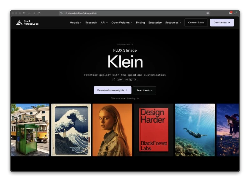 FLUX 3 Image Klein выпустили в опенсорс — это модель для генерации картинок, которой хв...