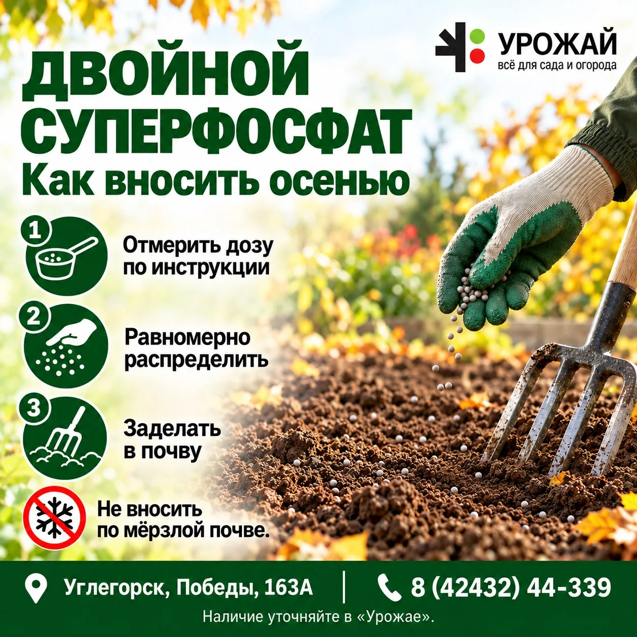 🌱 Двойной суперфосфат: как вносить?
