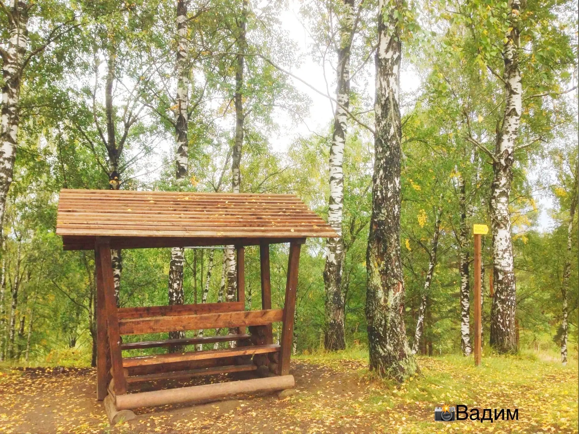 Доброе утро, Колтуши! 😎Хорошего дня! 🍁