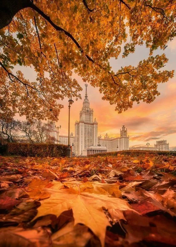 Всем доброго вечера 💞