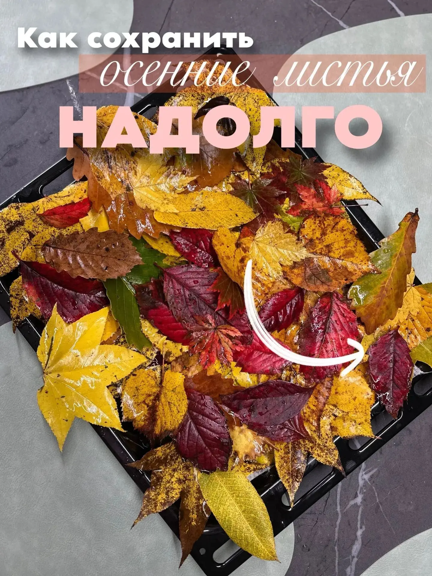 Сохраняем осенние листья 🍂