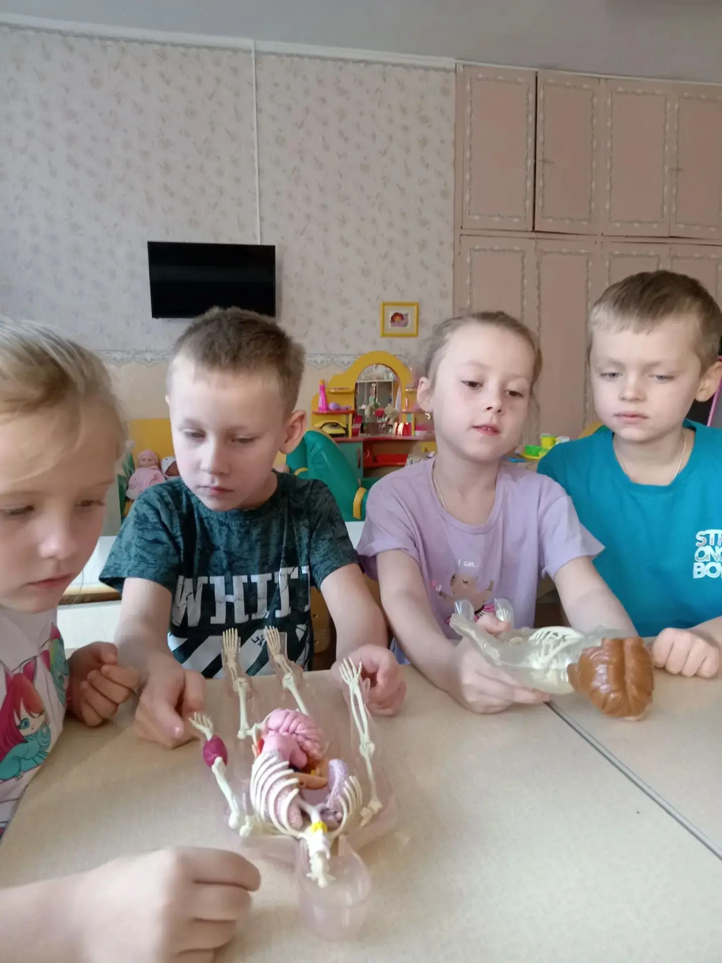 Социально - коммуникативное развитие.