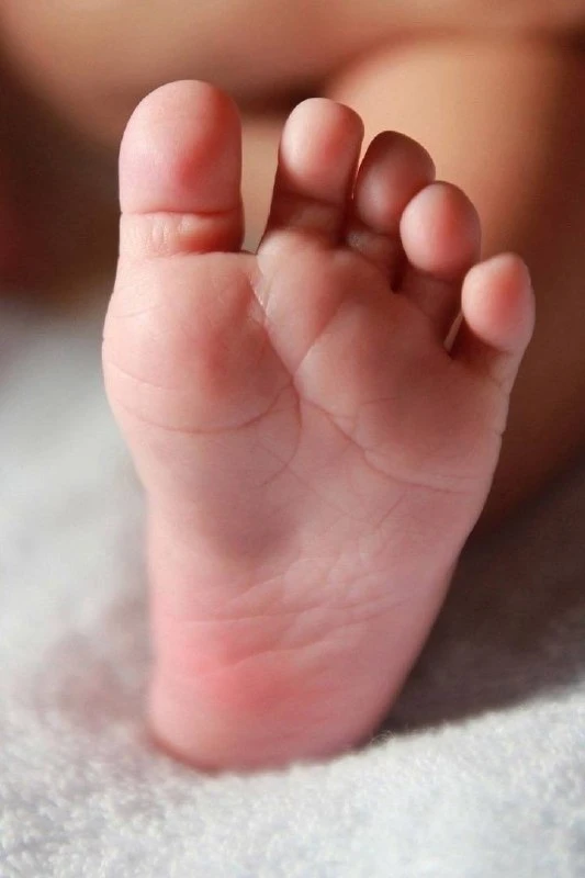👩‍🍼 В Ставрополе за неделю родилось 173 малыша.