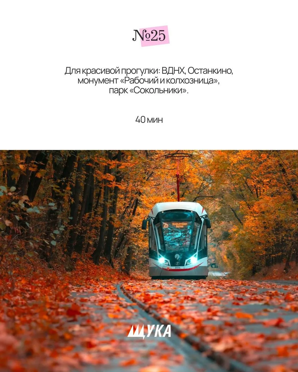 🍂🚋 Самые красивые трамвайные маршруты для осенних поездок по Москве.