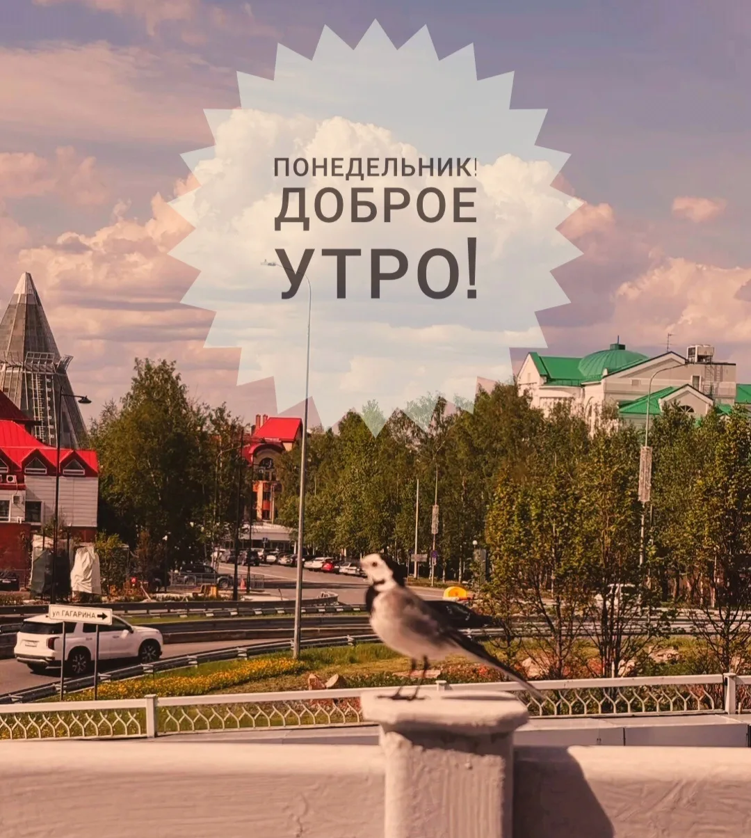 🚔 Начинаем рабочую неделю!