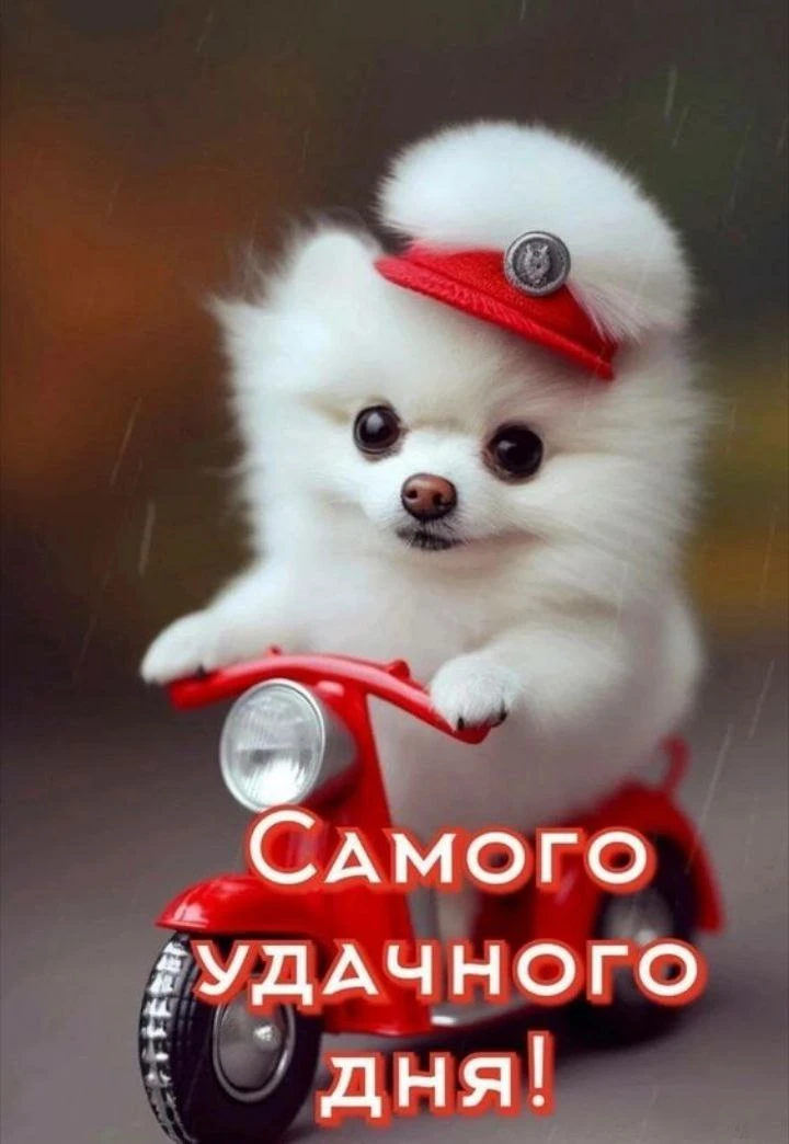 ~~~~~~~~~~~~~~~~~~~