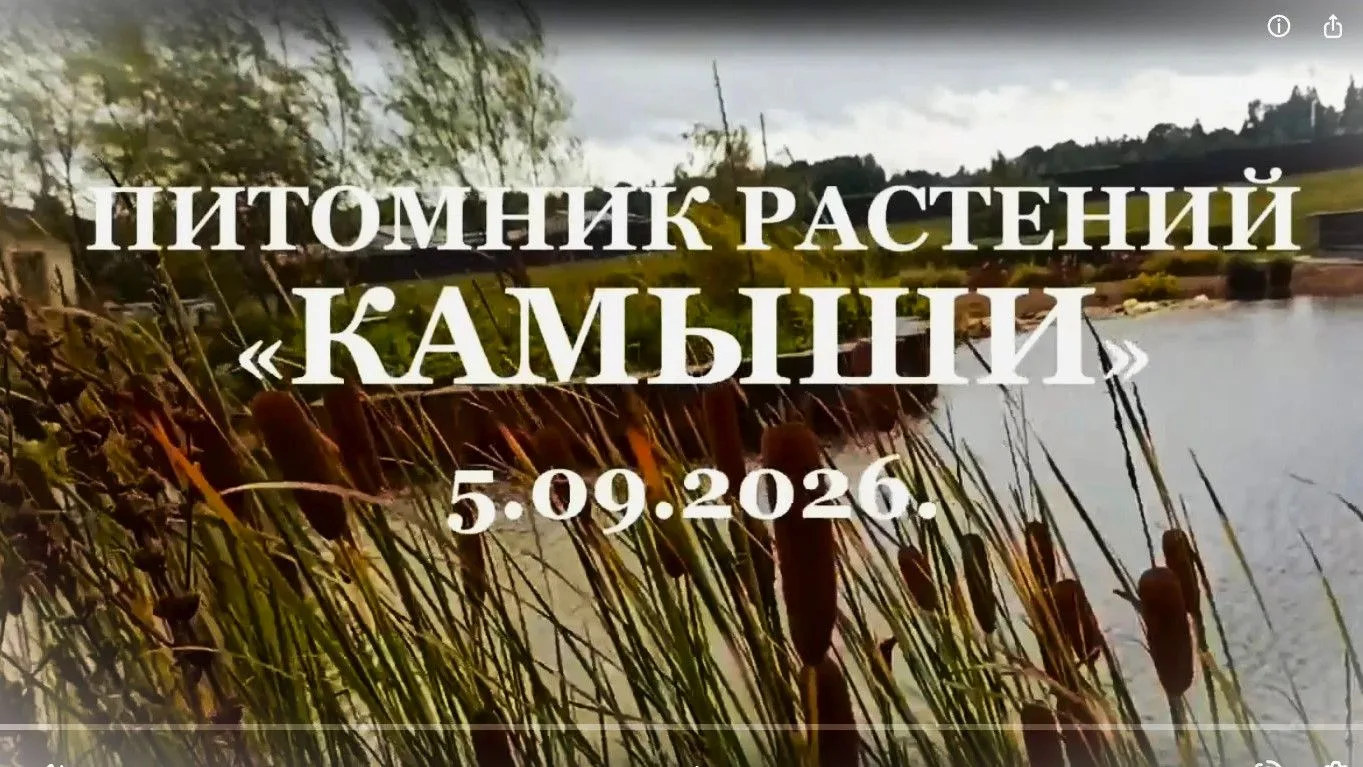 Вышло свежее видео. Питомник "Камыши". Визит 05.09.26. Посмотреть можно в ВК https://vk...