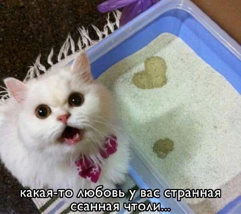 Мемы каждый день • Подписаться