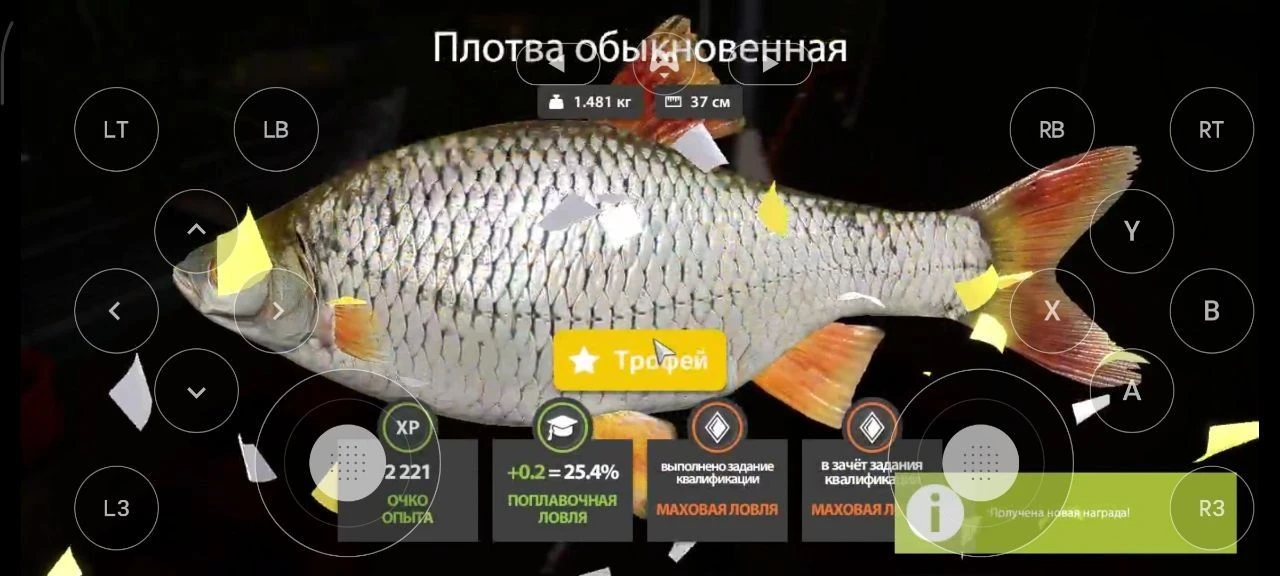 #комариное@rr4pepper