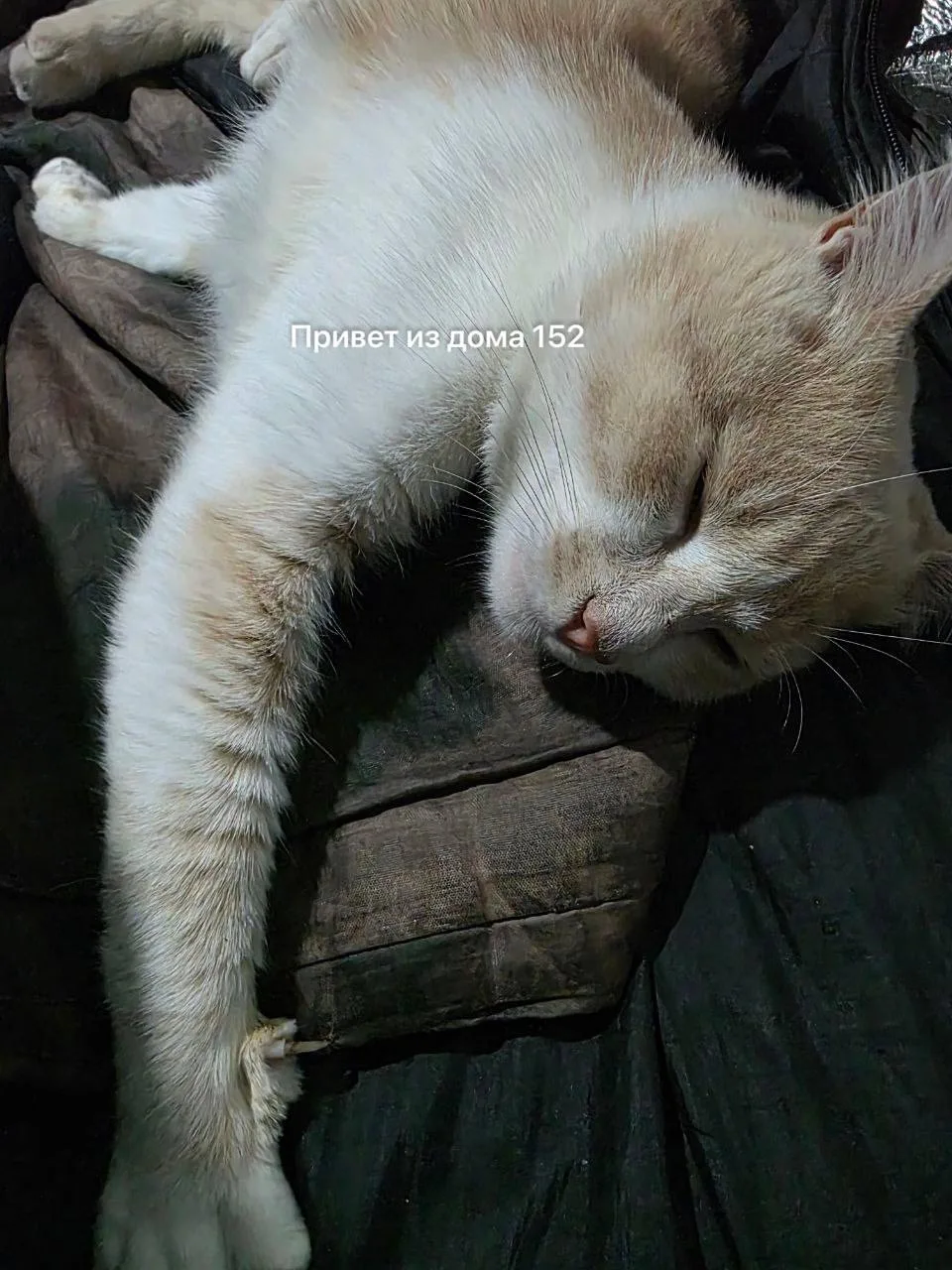 Всем доброго спокойного вечера.🙏🏻😊