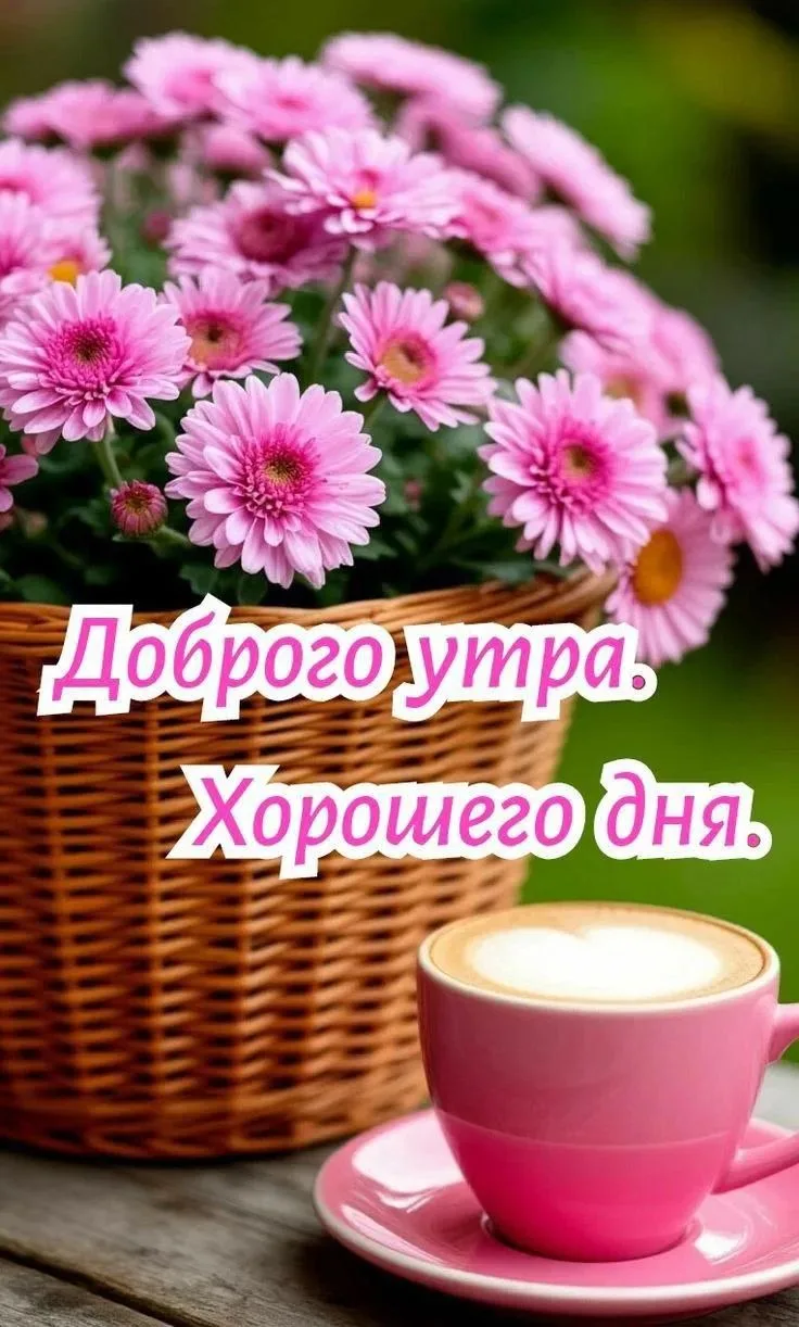 🌸🌿🌸🌿🌸🌿🌸🌿🌸🌿