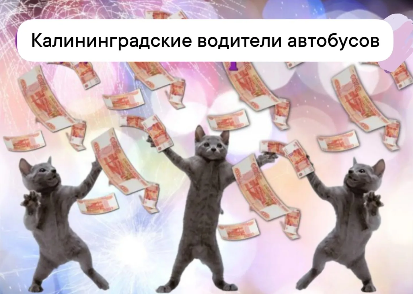 ЯНТАРНЫЕ ЗАРПЛАТЫ