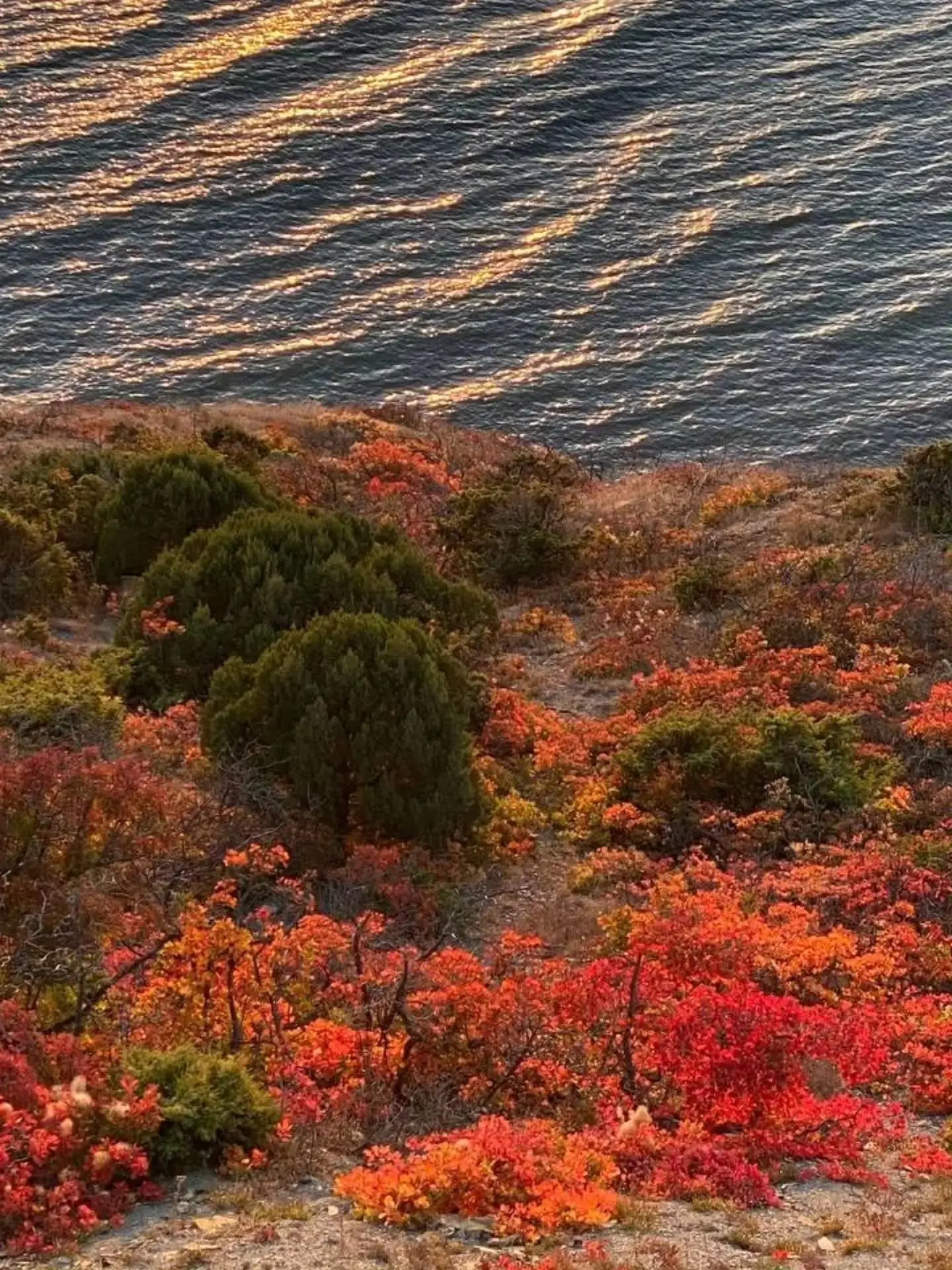 🍂 Осень в Анапа, которую  ждёшь