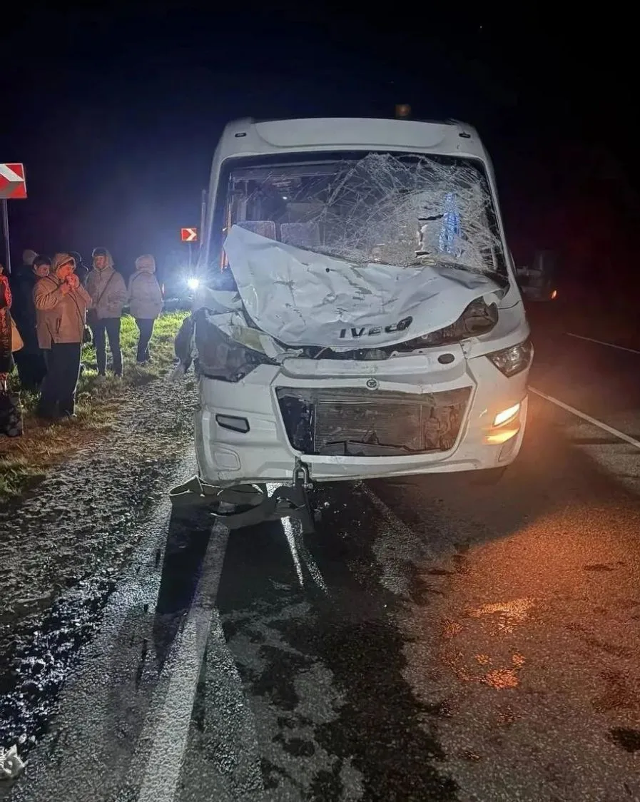 Полный туристов автобус из Йошкар-Олы сбил лося на ночной трассе Чебоксары - Сурское в ...