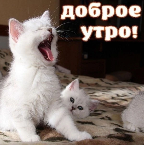 КРАСИВЫЕ ОТКРЫТКИ ТУТ💖