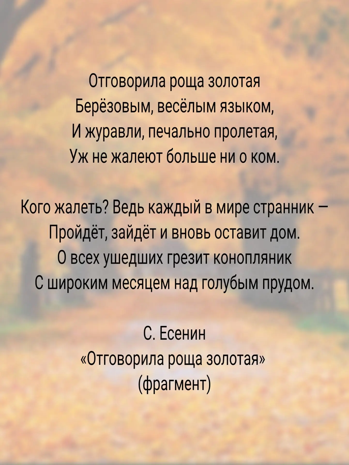 13 октября — День засыпающих деревьев🌳