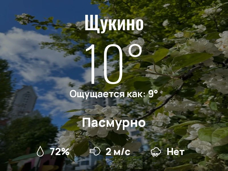 Что с погодой в Щукино?