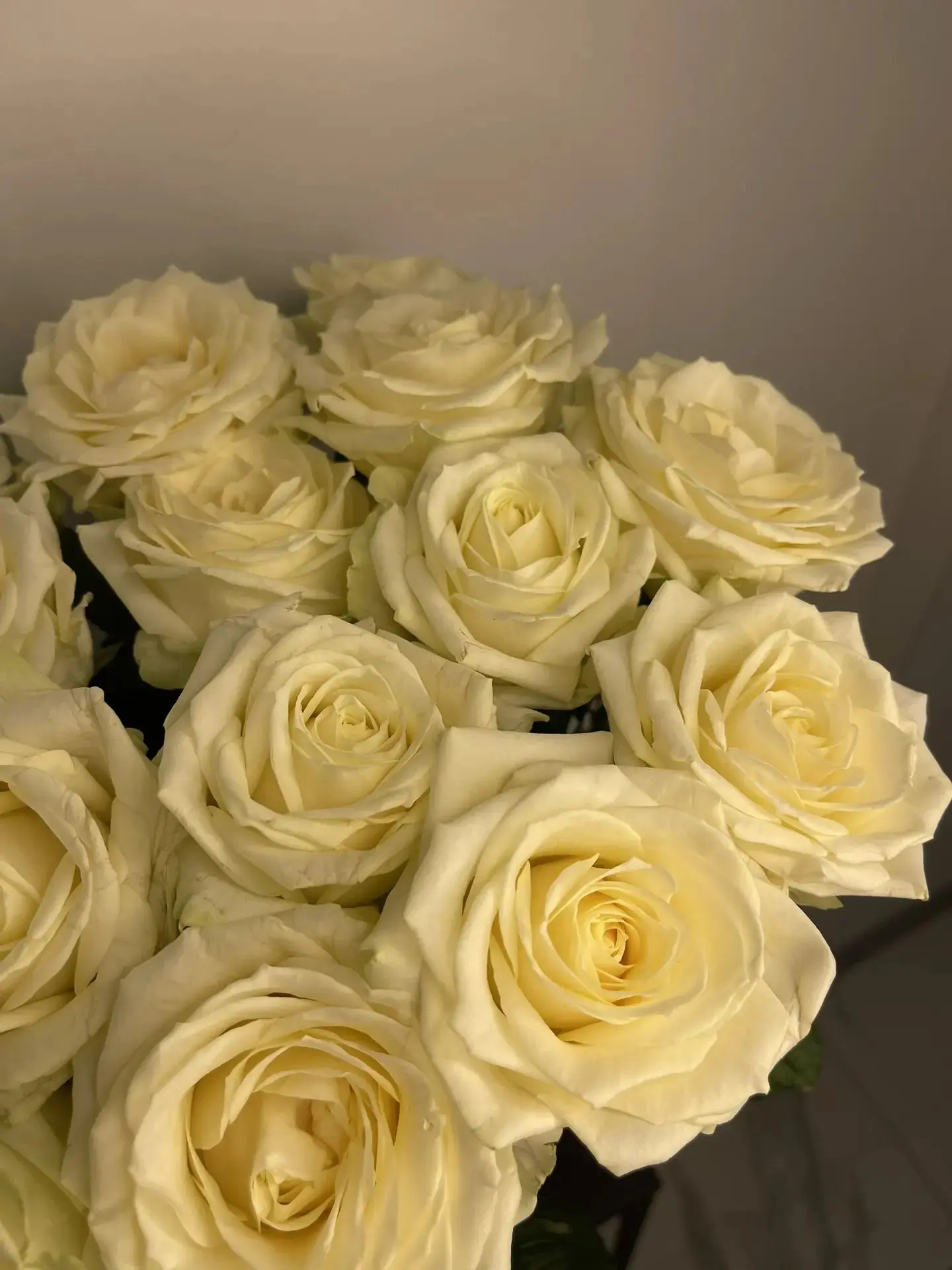 Привезли цветы для осенних букетов 😍🌸