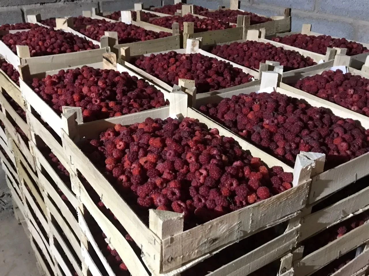 Поступление ягод от Lot_berry