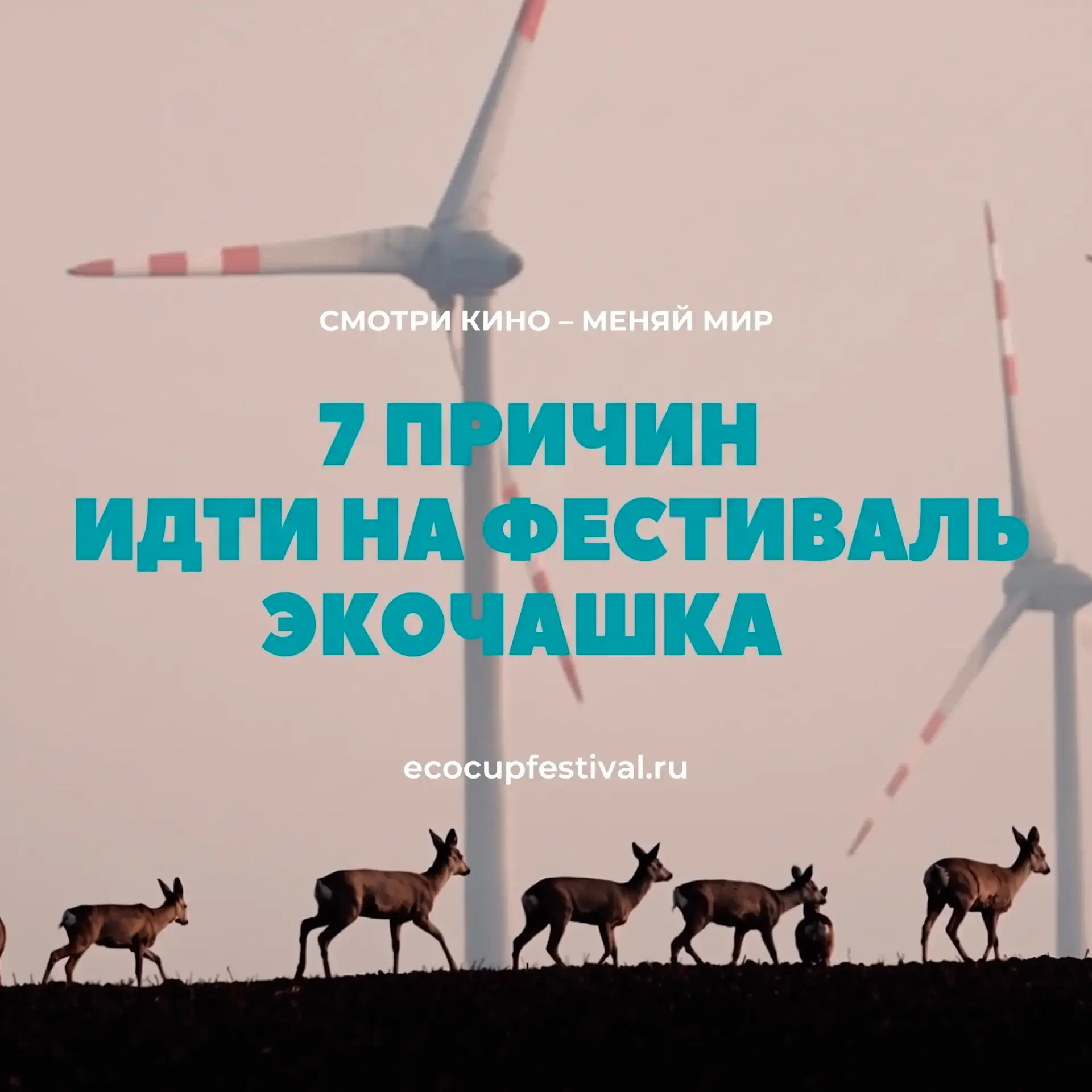 ✅ Почему это событие, которое нельзя пропустить или 7 причин идти на фестиваль ЭкоЧашка.