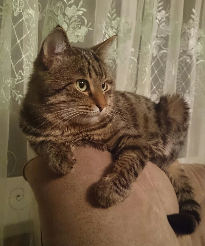 Это дядя Вася! Наш толстячок 😘