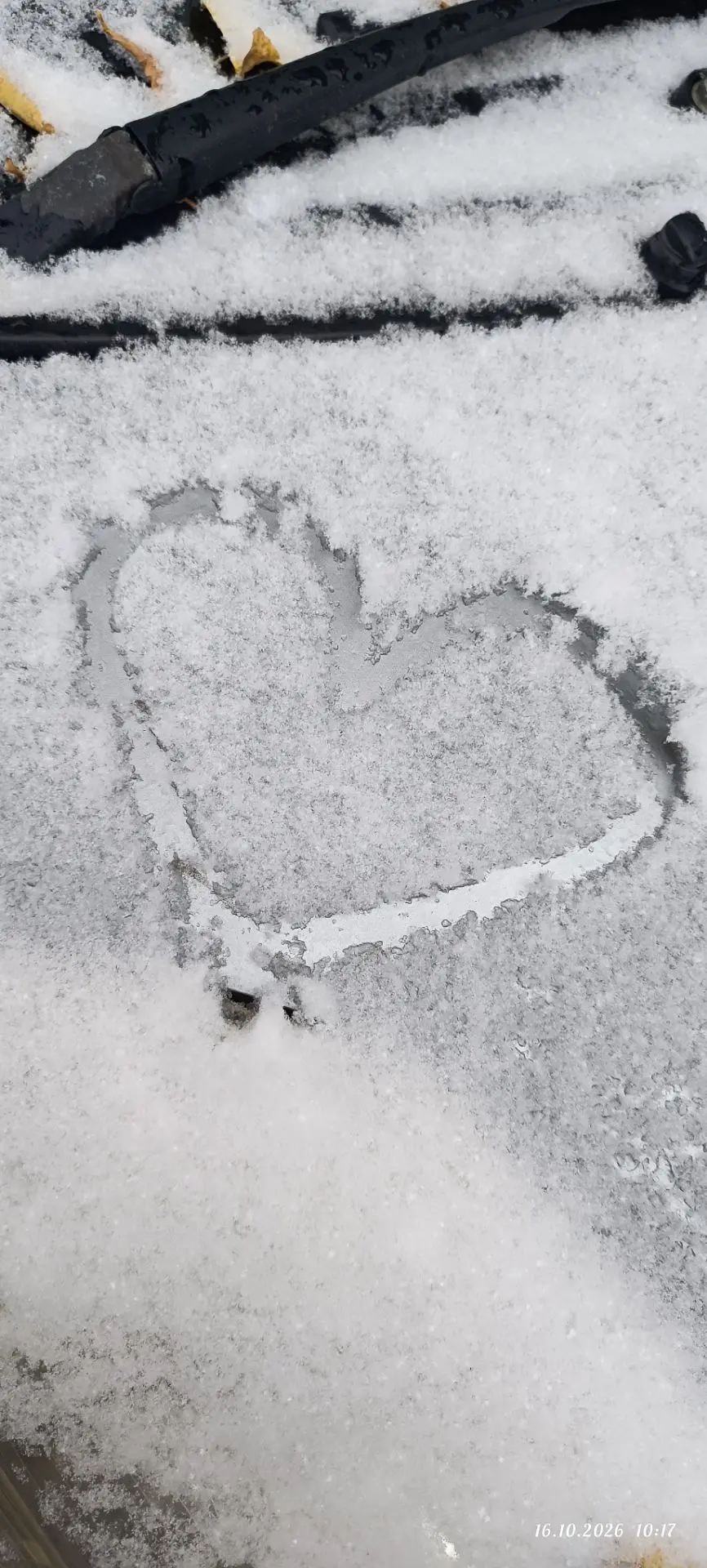 Добрый день❤
