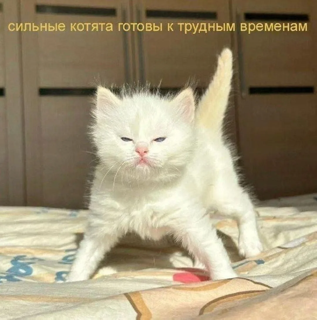 Сегодня вторник, а значит — мы уже ближе к выходным и отдыху.
