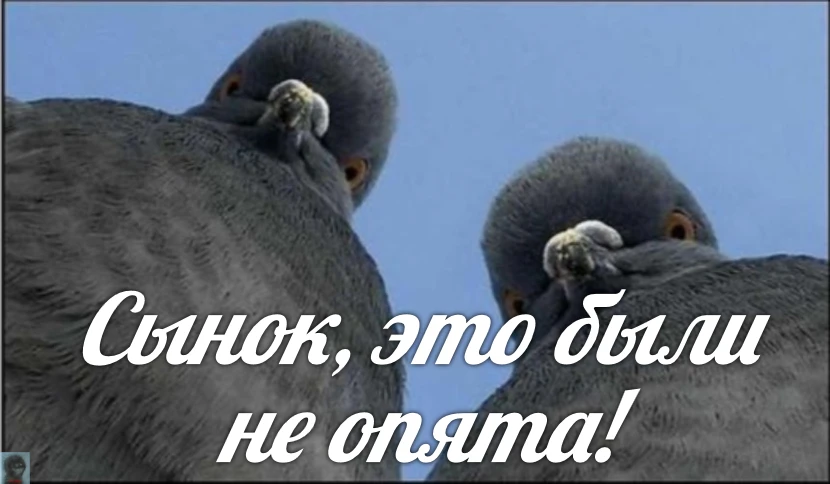 За Ежей в тумане    https://max.ru/public217562846