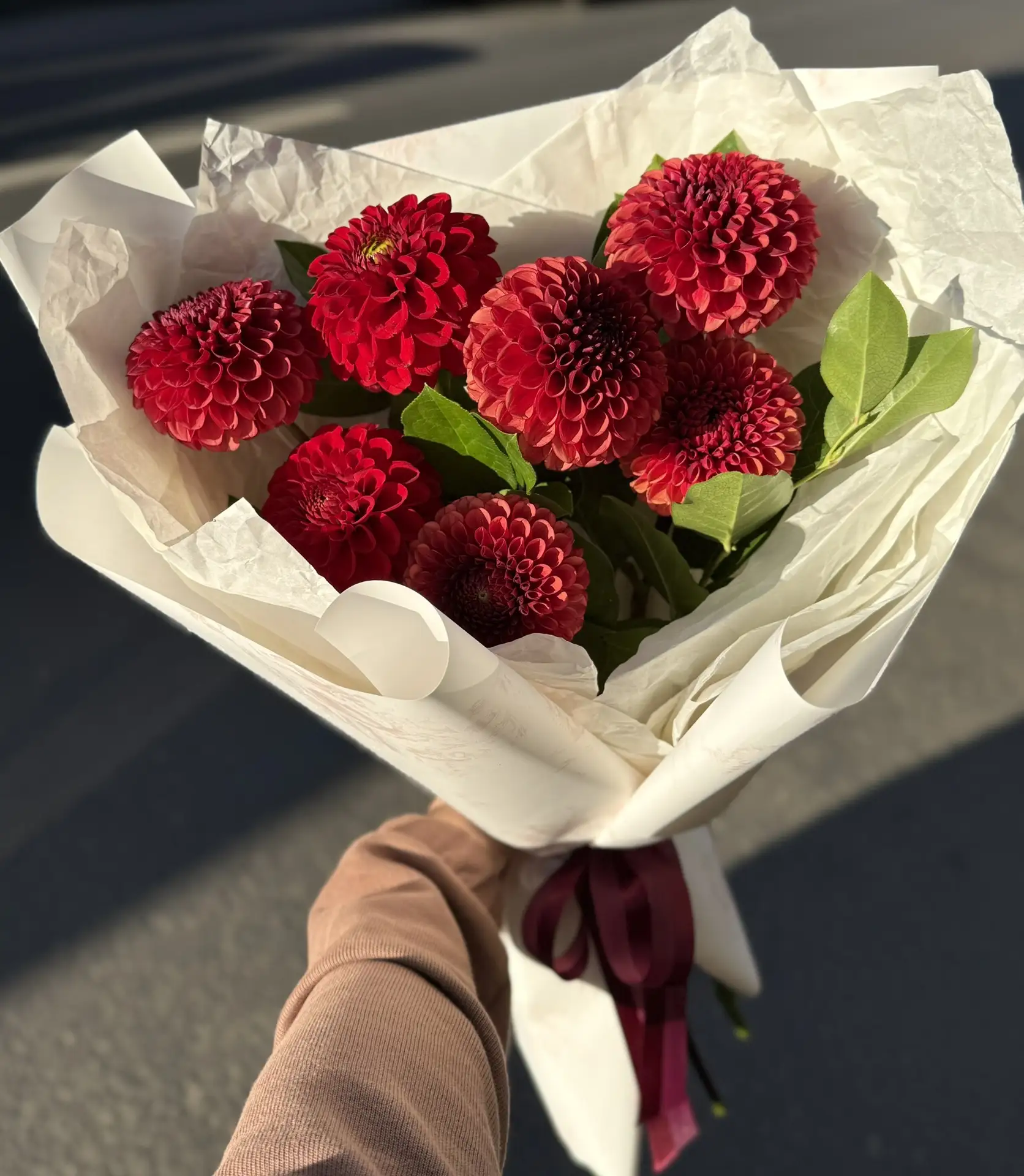 🌸 Георгины — цветы, которые невозможно не заметить