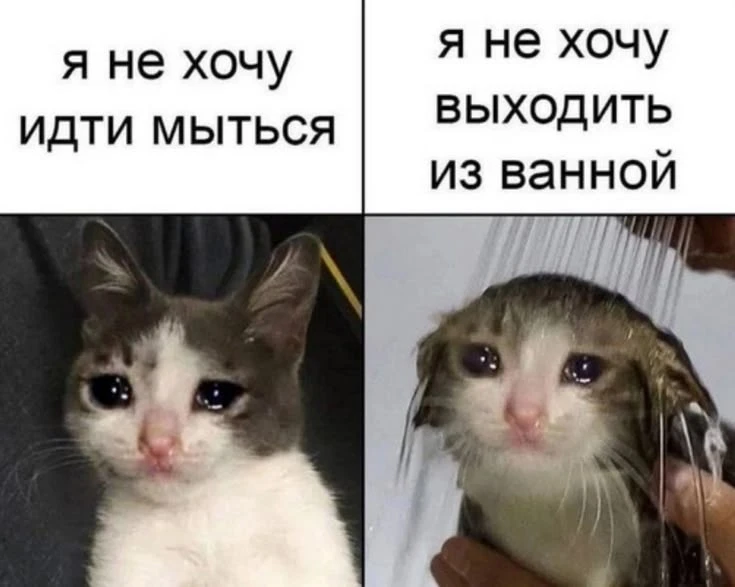 Главное — всё-таки туда зайти
