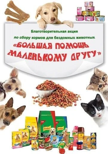 Изображение 1 к публикации «МАОУ СОШ №56 г. Калининград»