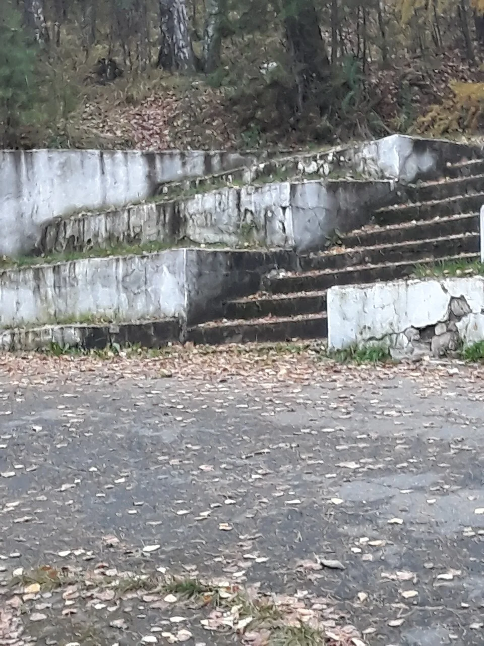 Я конечно изначально понимала, что вваливать деньги в Старый новый парк - это пустая за...