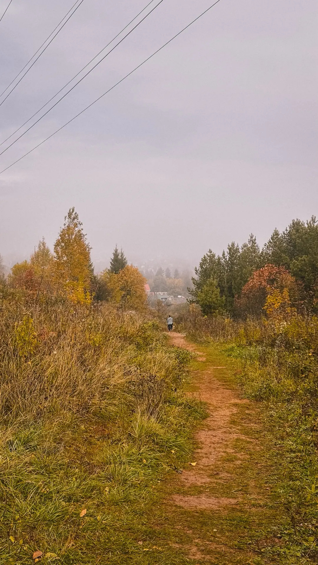 ⛅️13 октября в Кирове будет облачно с прояснениями, днём без существенных осадков.