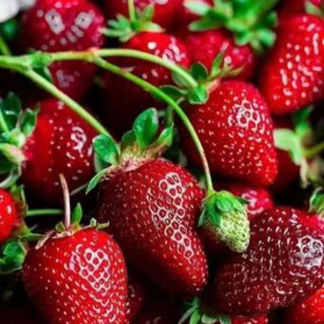 Советы для тех, что любит клубнику