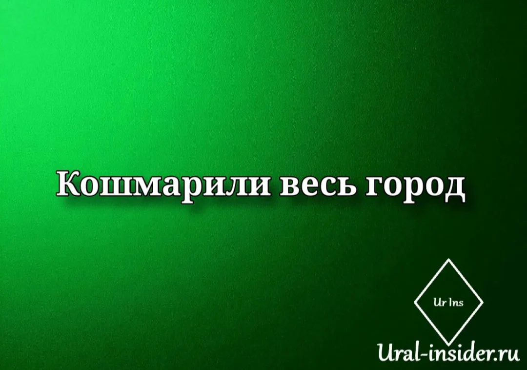 🟩[Кошмарили весь город: в Карабаше накрыли банду, собиравшую дань с помощью подростков.]
