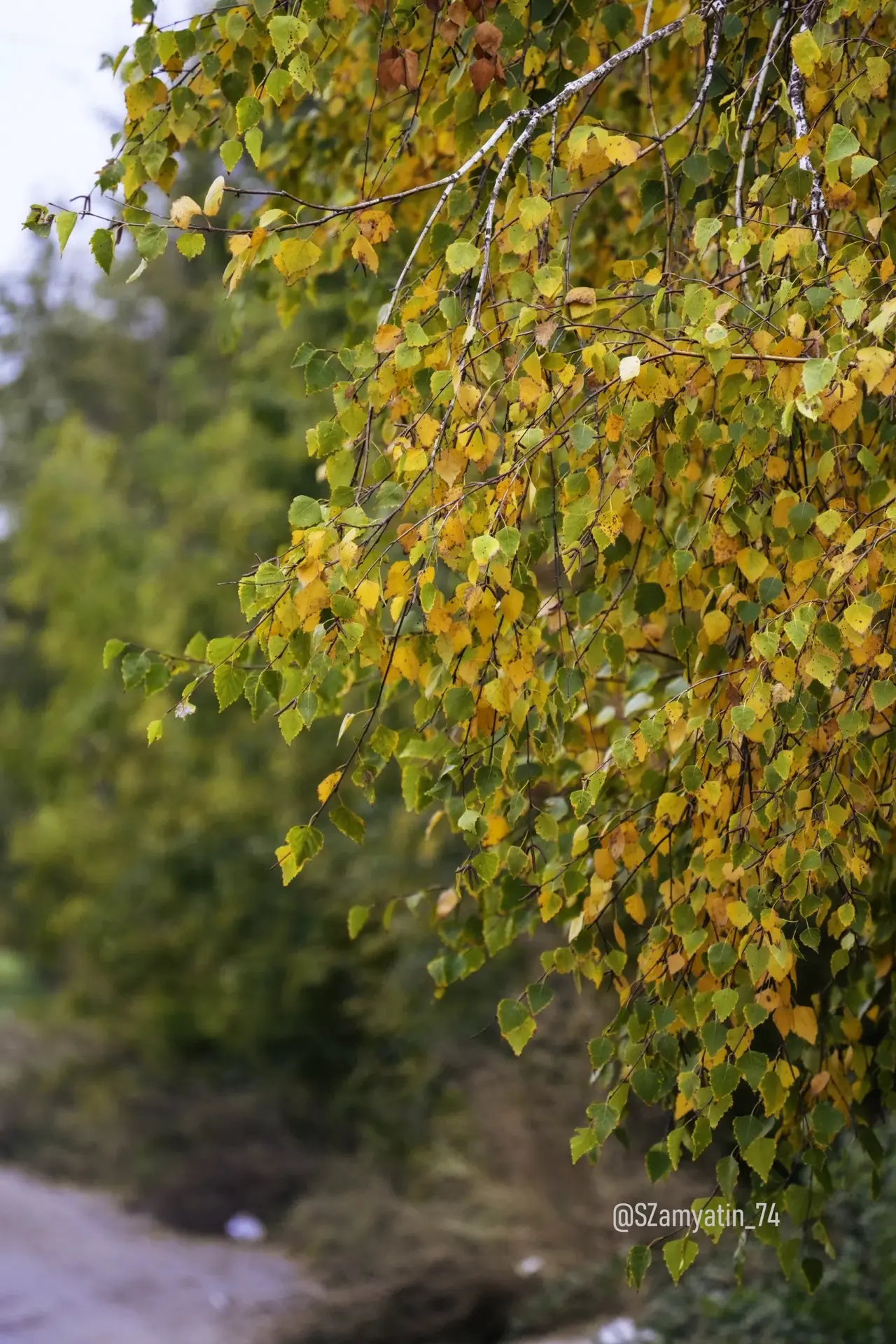 ✨🍂 Каждый день работа, в городе движение, и это правильно.