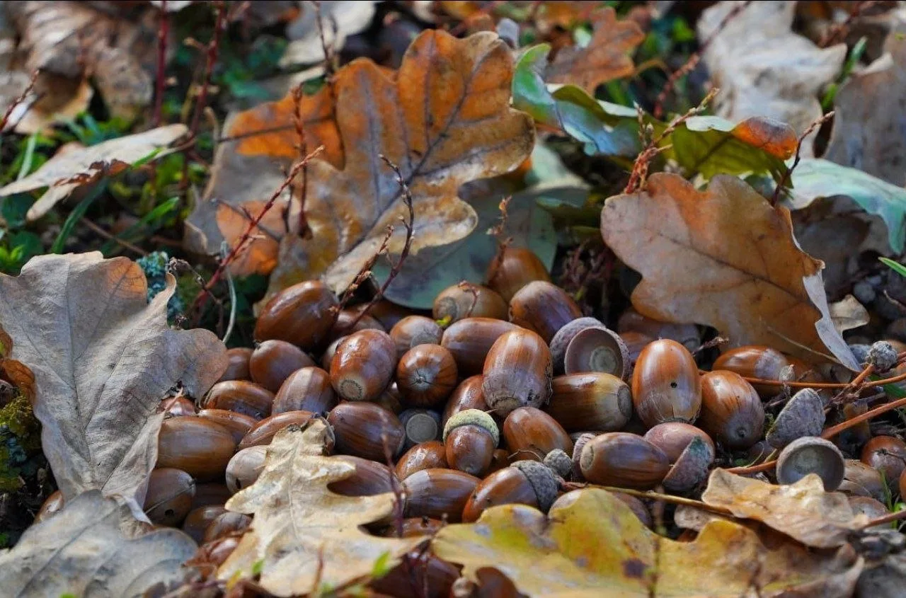 🍂 Октябрь, который можно почувствовать