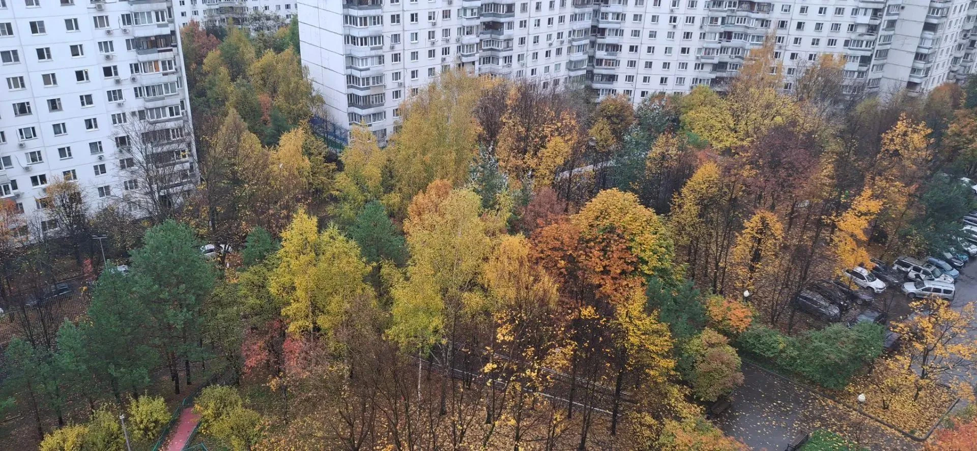 Дожди постепенно уходят и скоро прекратятся совсем. Но потепления не будет - максимум с...