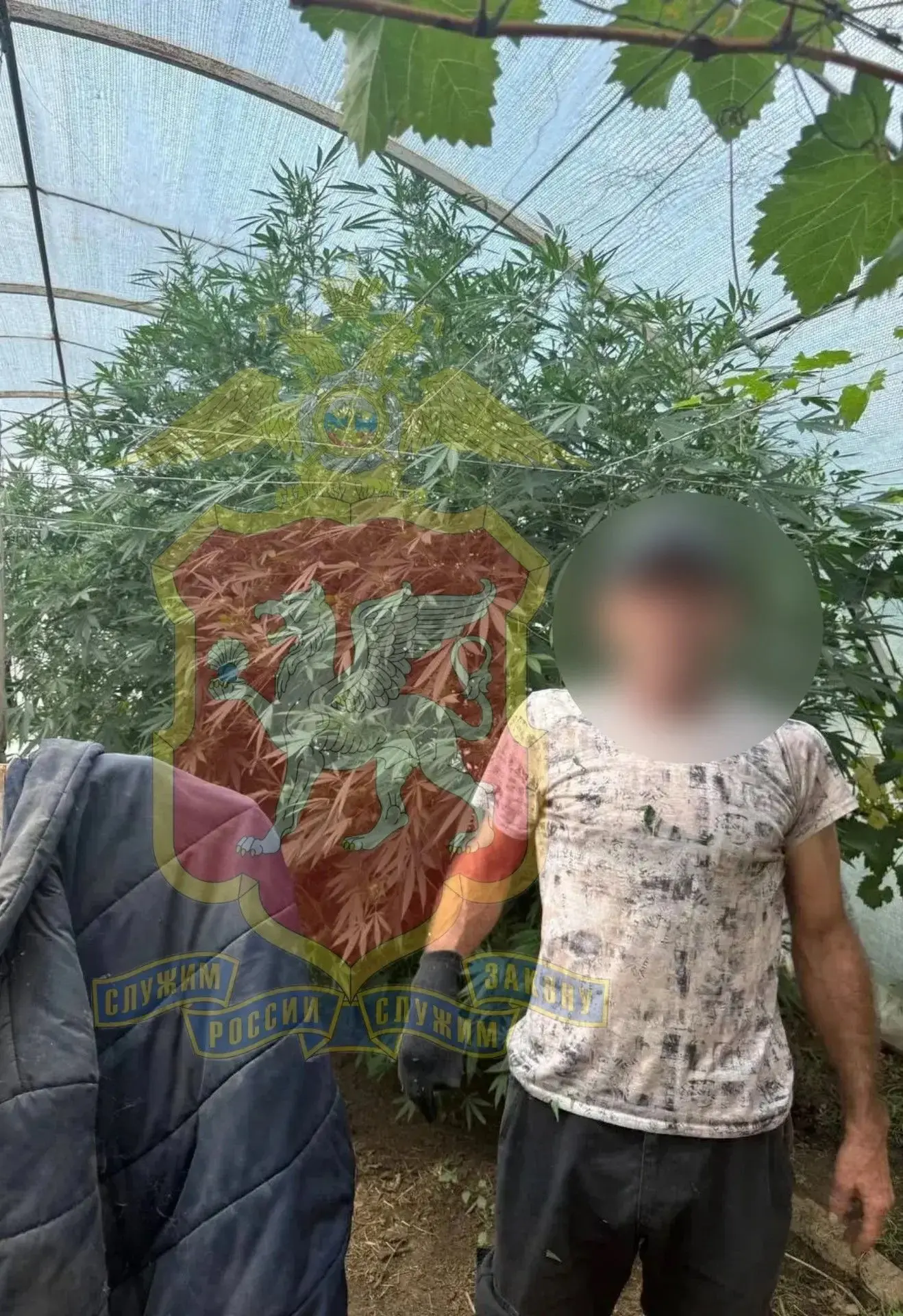⛓️В Бахчисарае пресечён незаконный оборот наркотических средств