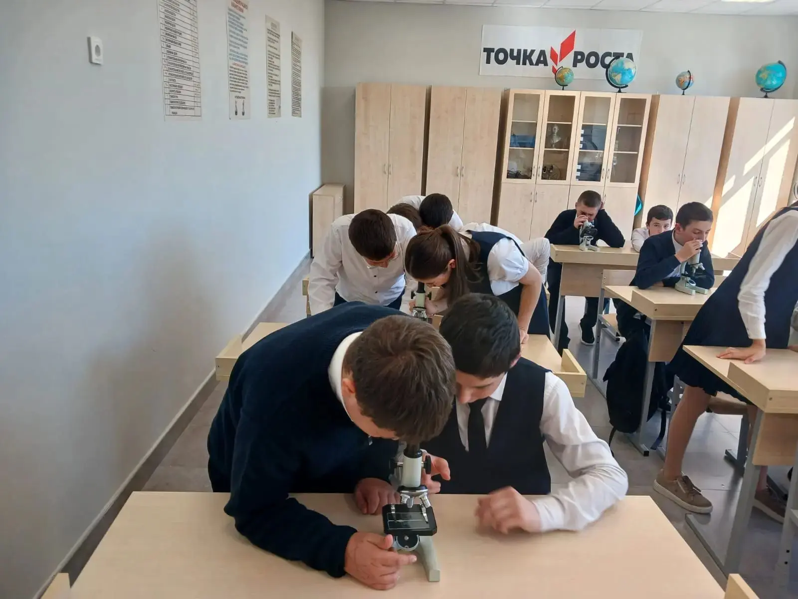 Занятие в «Точке роста»: изучаем клетки под микроскопом