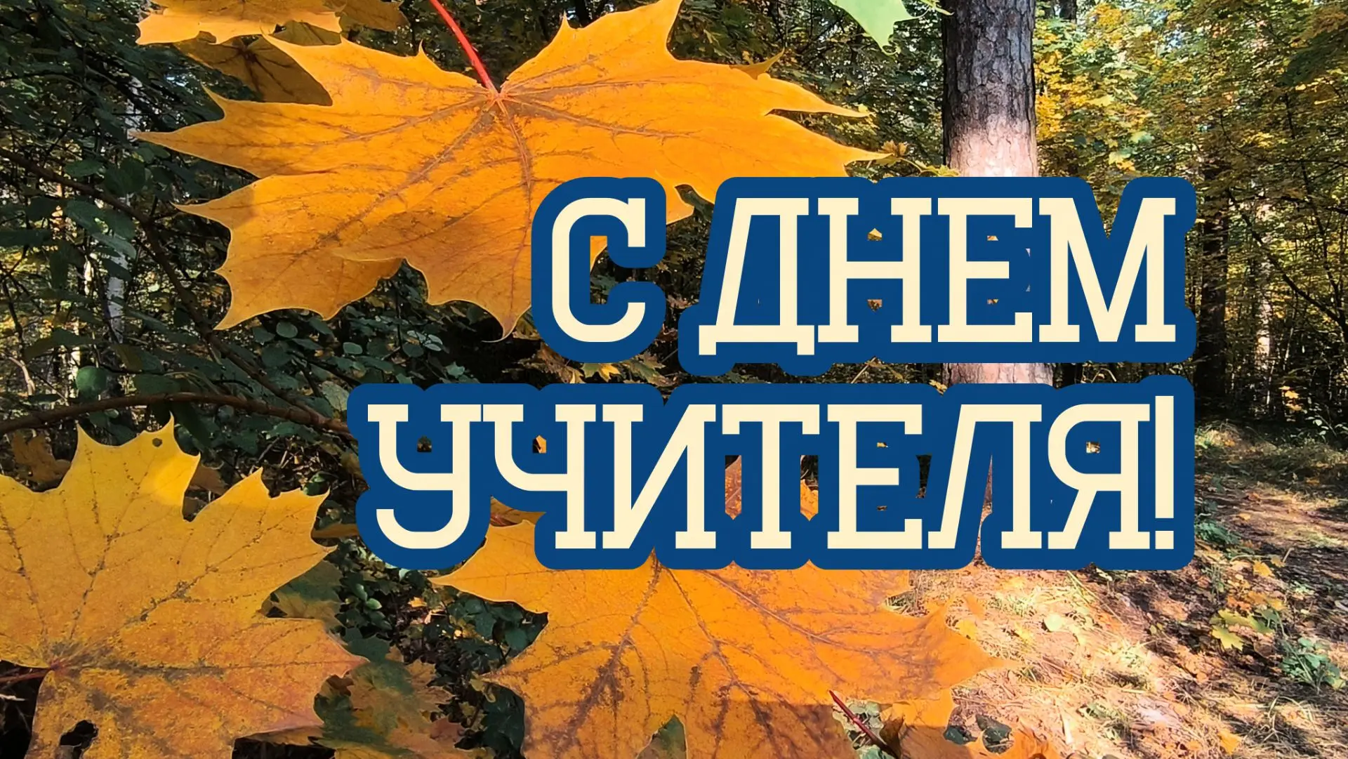 Уважаемые котовчане!