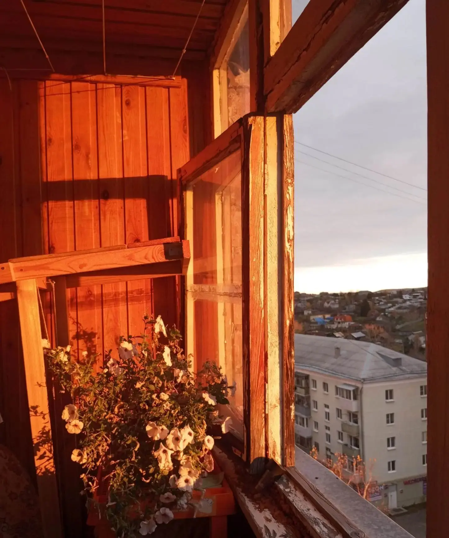 Немного красок заката 🌅