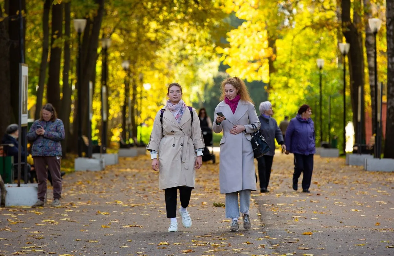 🍂 В Тульскую область после теплого начала недели придет похолодание