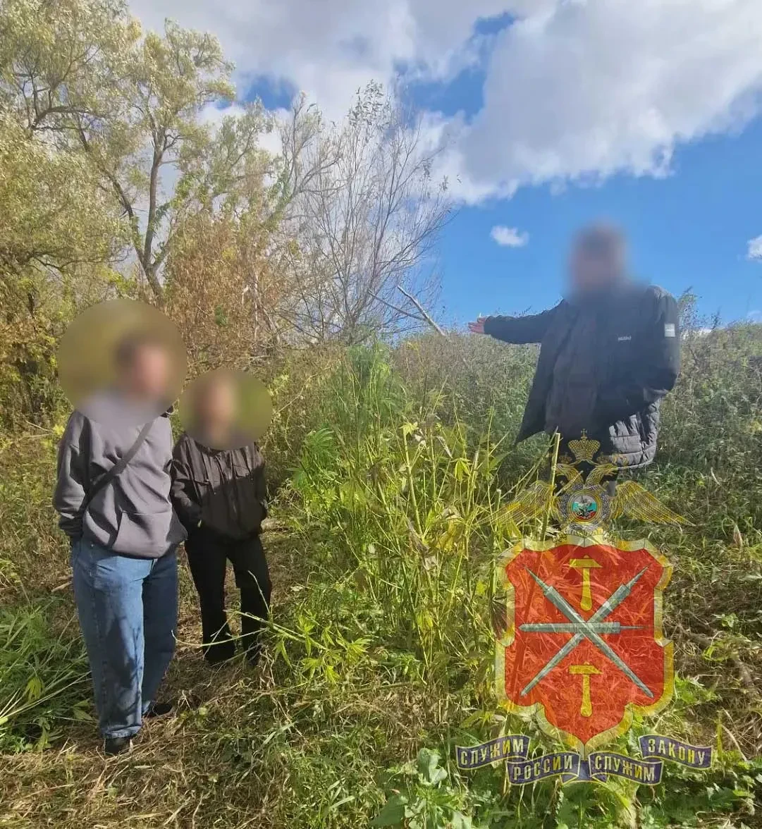 🌿 Более 100 кустов конопли нашли у жителя Белёва