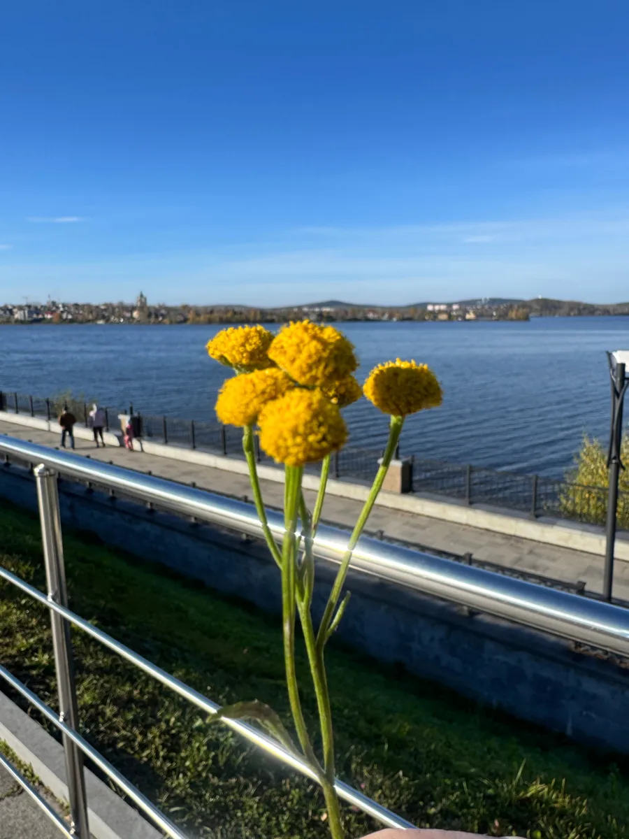 Доброе утро, друзья! Хорошего начала новой трудовой недели!